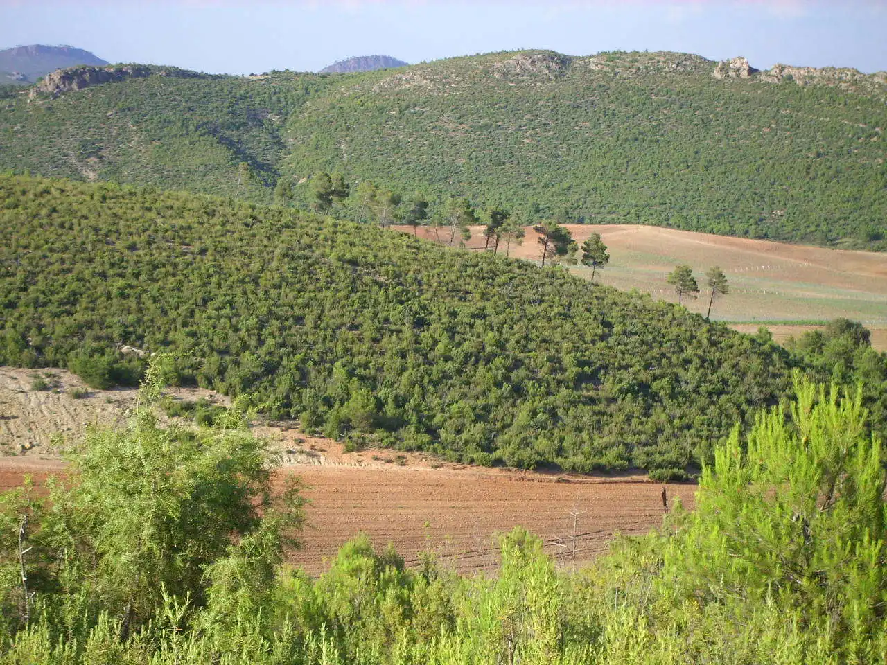 Terreni e lotti in vendita a Cardenete, imagen 4