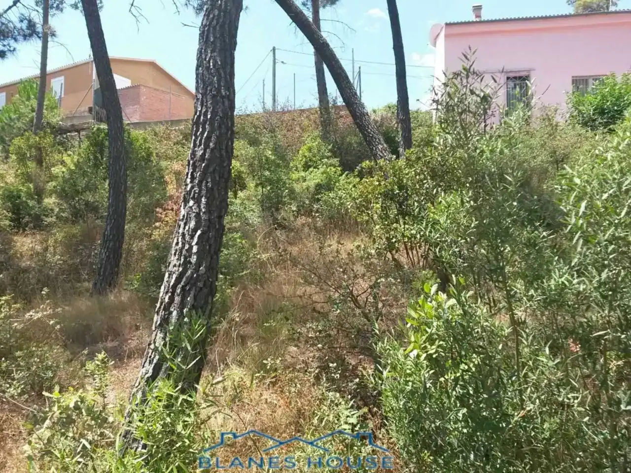 Rural land for sale in Calle MONTJUIC 8 E, imagen 5