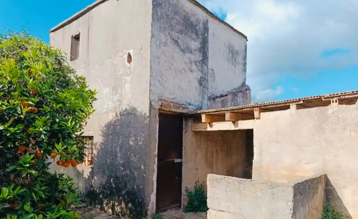 Terrain rustique à vendre à Oliva pueblo, imagen 5