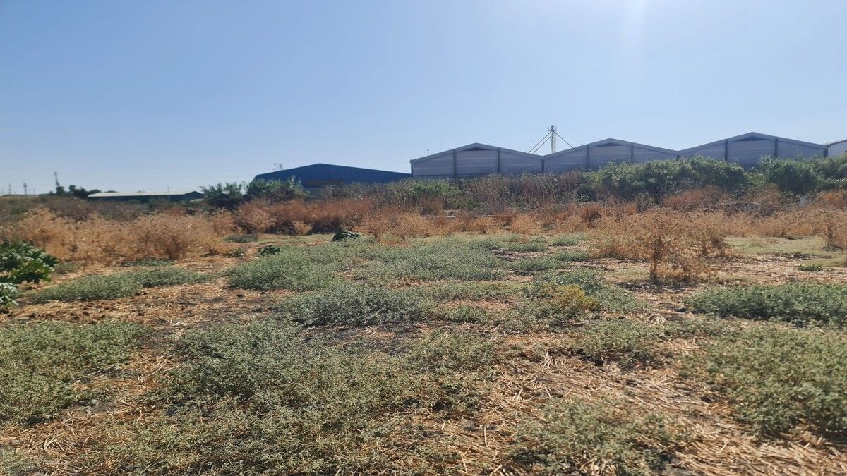 Residencial en venda en El Coronil