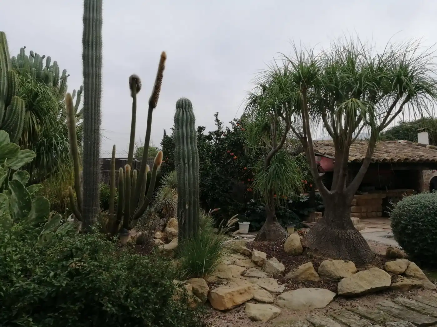 Jardí de Casa o xalet en venda en Murcia amb Calefacció, Jardí privat i Parquet