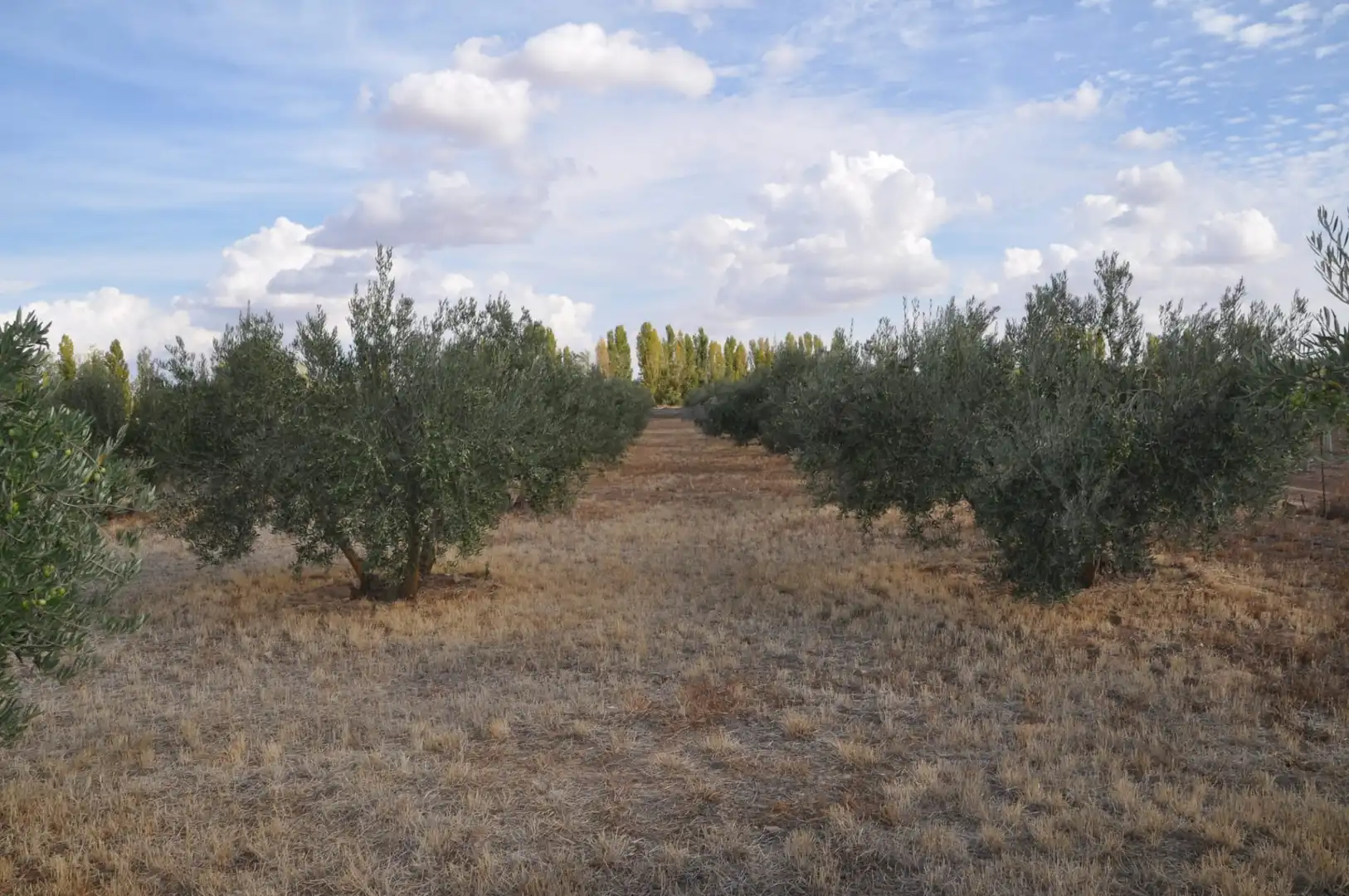 Residential for sale in Villanueva de Alcardete