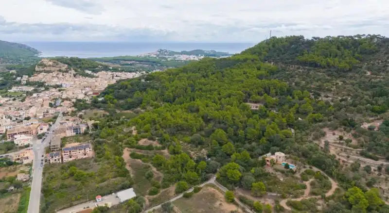 Rural land for sale in 0, imagen 9