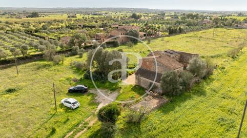 Foto 5 de Finca rústica en venda a Son Rego, Zona Rústica - Interior, Campos