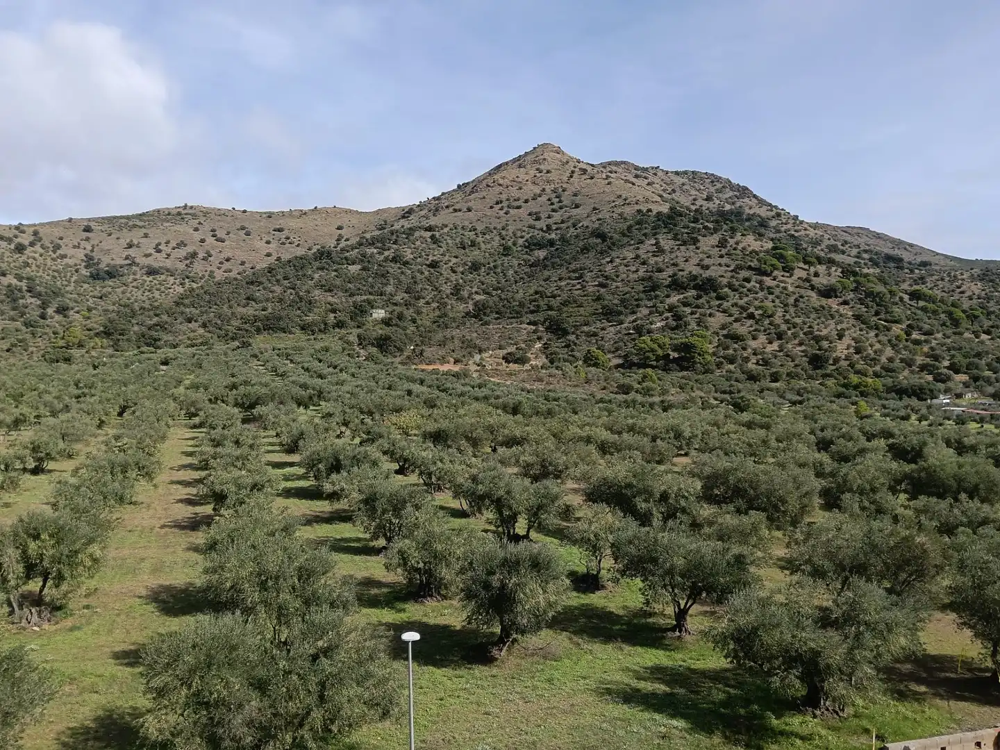 Flat for sale in Els Grecs - Mas Oliva