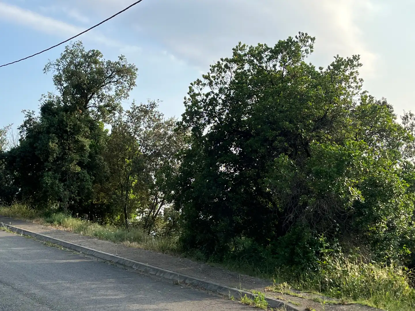 Terrain résidentiel à vendre à Carrer de l'Alt Urgell 1956, imagen 4
