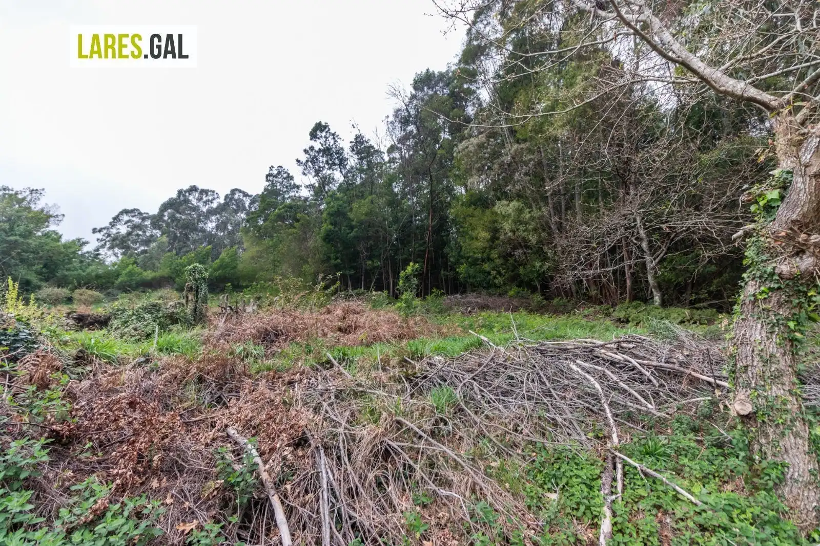 Residential land for sale in Rúa Ourelo, imagen 13