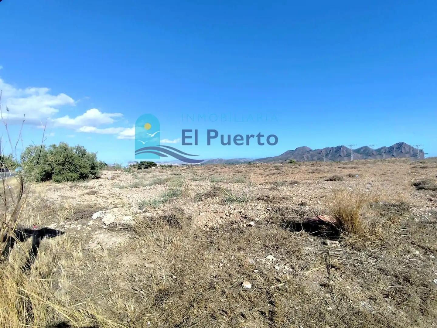 Rural land for sale in Pedanías Oeste, imagen 14