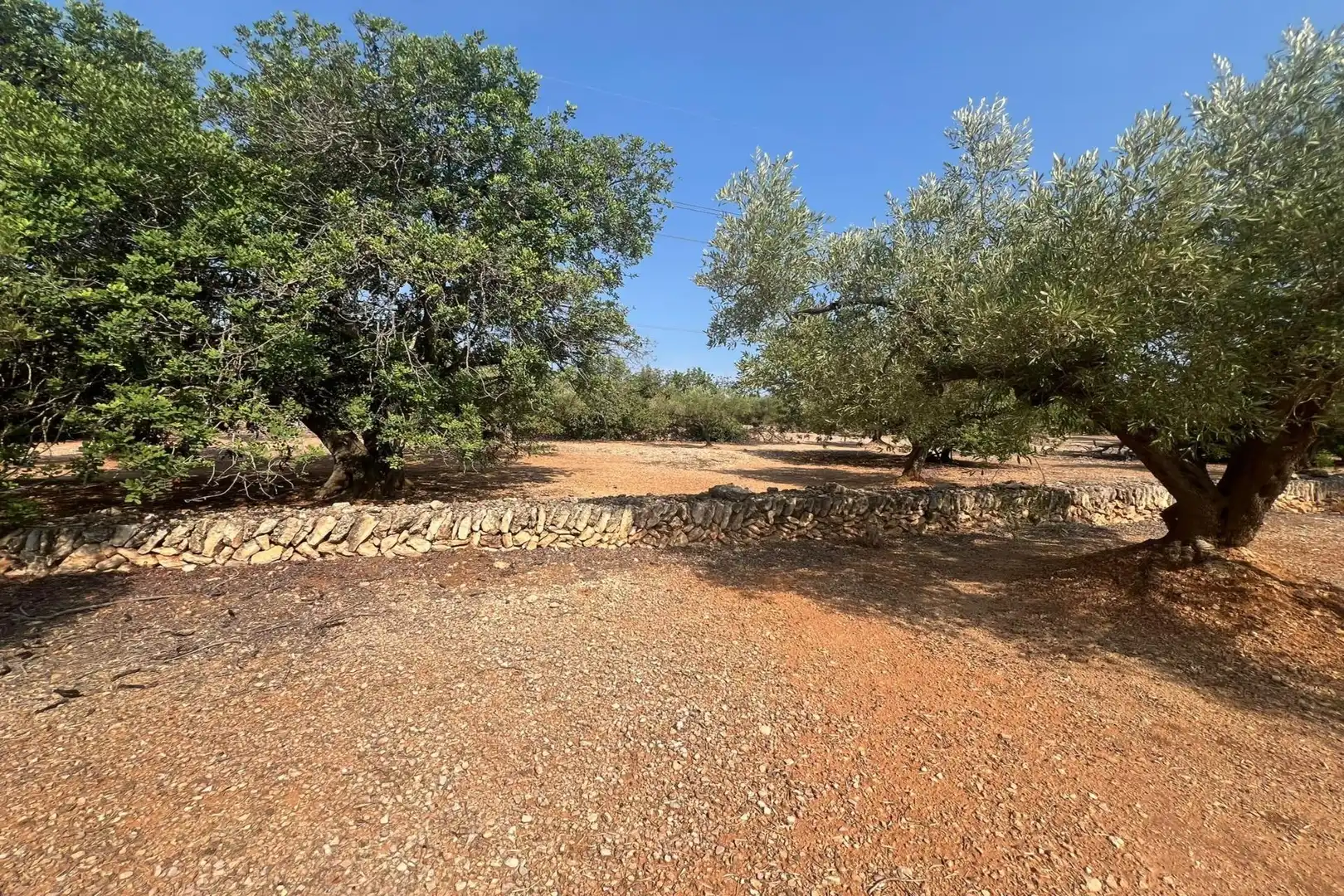 Casa rústica en venta en El Perelló, imagen 8