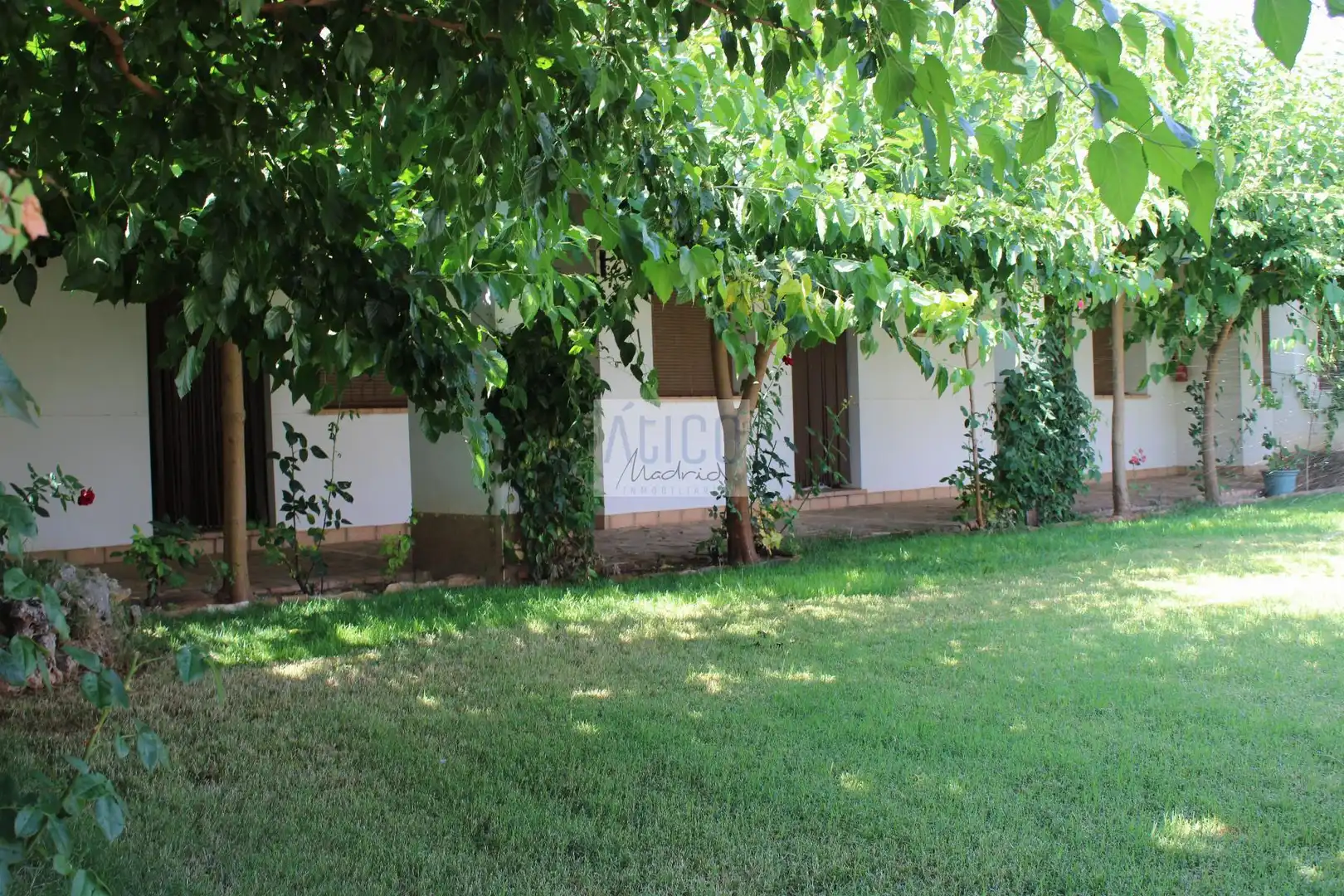 Vista exterior de Casa o chalet en venta en Cózar con Aire acondicionado, Calefacción y Terraza