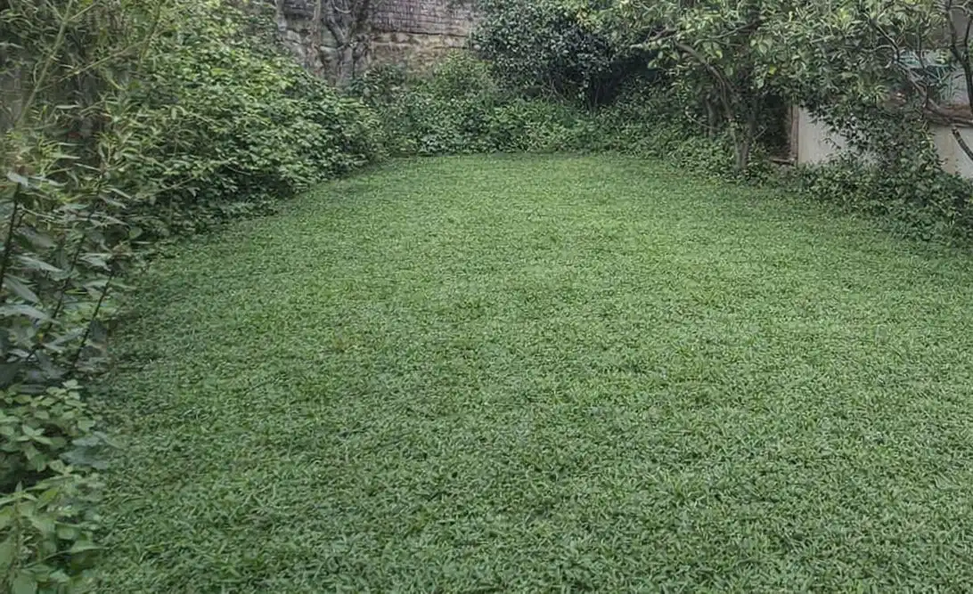 Jardí de Finca rústica en venda en Palafrugell amb Aire condicionat, Calefacció i Jardí privat