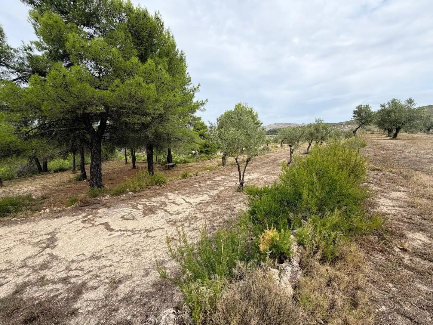 Residencial en venta en Fageca, Alicante