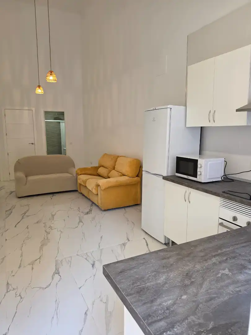 Estudio de alquiler en Calle Maestro Guerrero, 11, Parque Ayala - Jardín de la Abadía - Huelín
