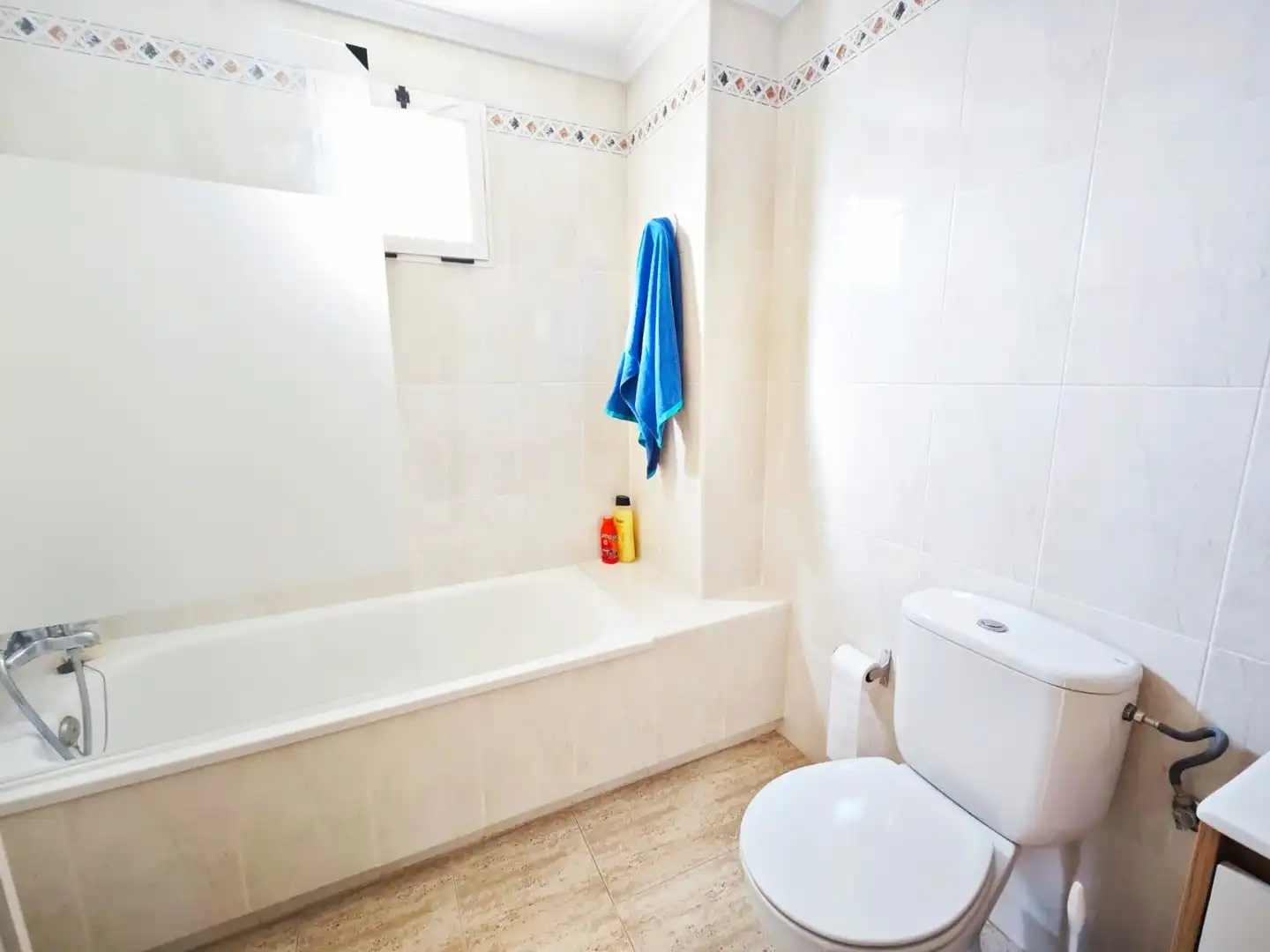 Apartments for rent in Avenida Avenida Costa Blanca, Los Arenales del Sol
