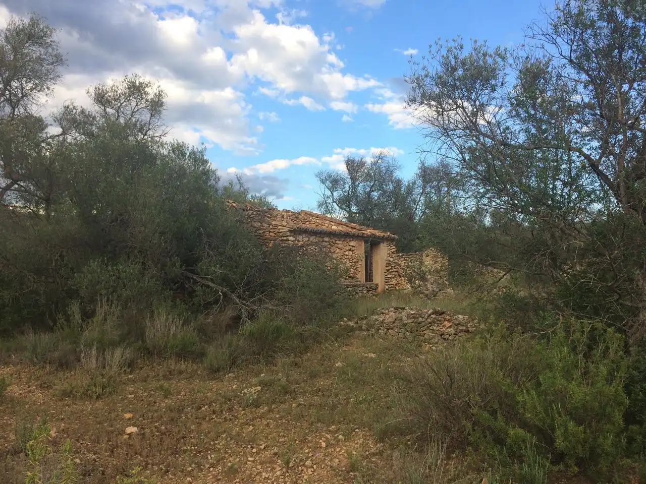 Terrain rustique à vendre à Les Planes, imagen 8