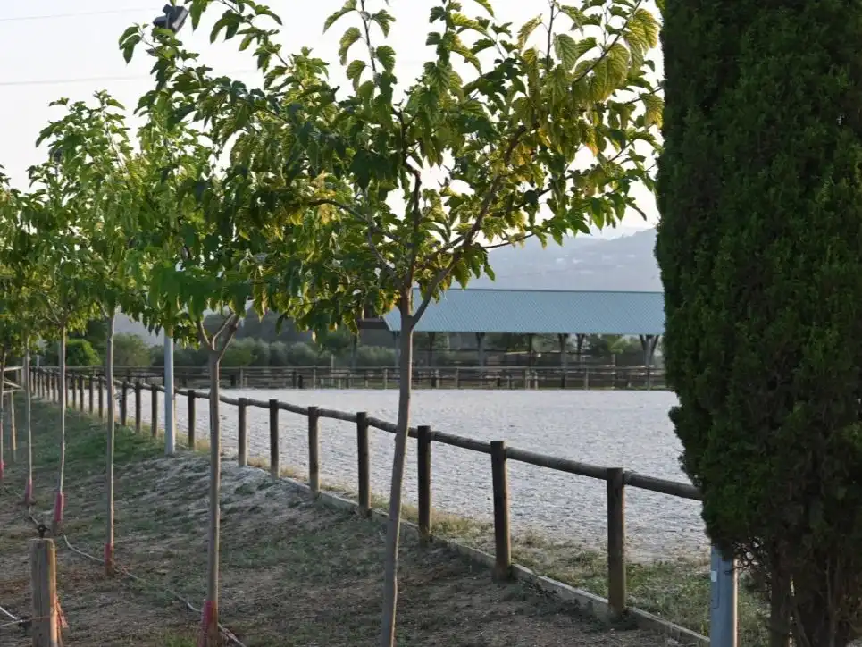 Casa con piscina en venta en Carrer Copèrnic 38, imagen 5