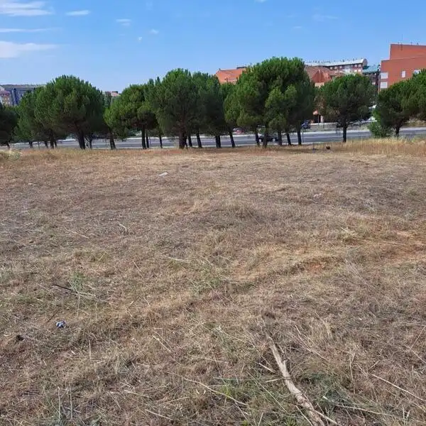 Terreni e lotti in vendita a Carretera de Carbajal, imagen 4