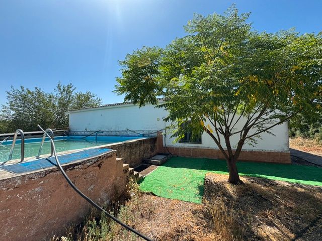 Swimming pool of Country house for sale in Mérida