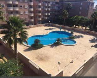 Swimming pool of Flat to rent in Santa Pola  with Terrace and Swimming Pool