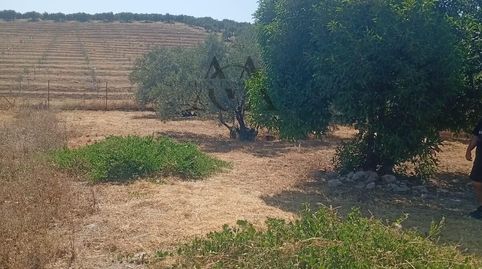 Photo 3 of Residential for sale in Jauja, Lucena