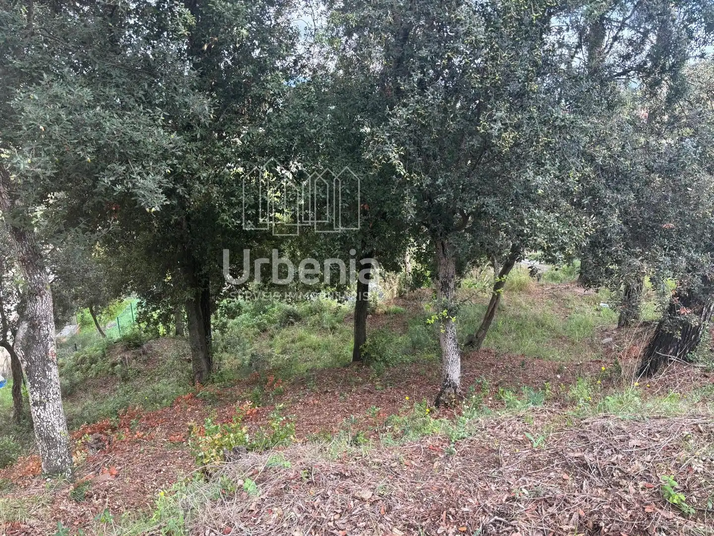 Rural land for sale in Palafolls, imagen 5