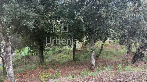 Terreno en Sant Genís de Palafolls, immagine 5