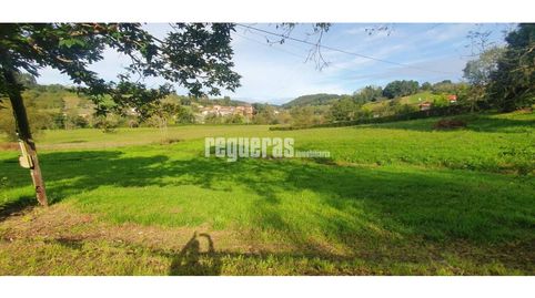 Finca edificable Castrillon, imatge 2