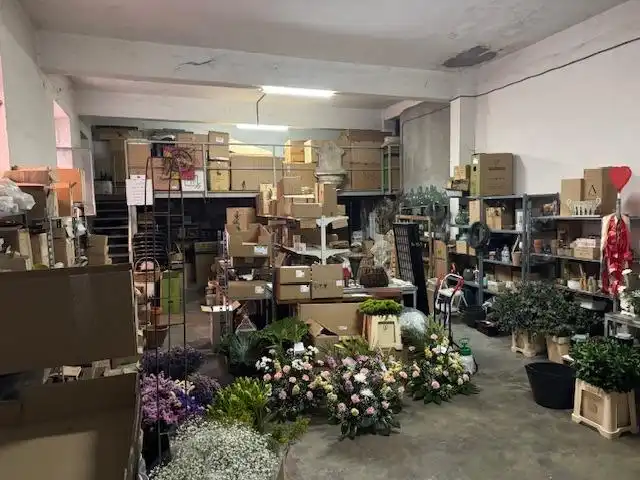 Individual en venta en Barrios Bajos - La Horta, imagen 4