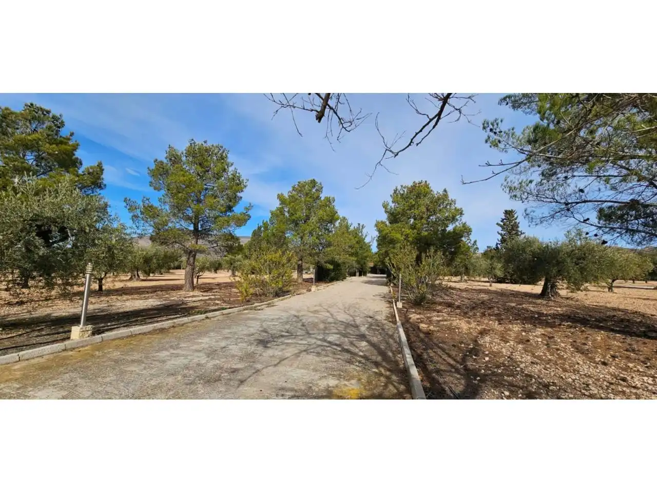 Chalet con piscina en venta en Jumilla, imagen 69