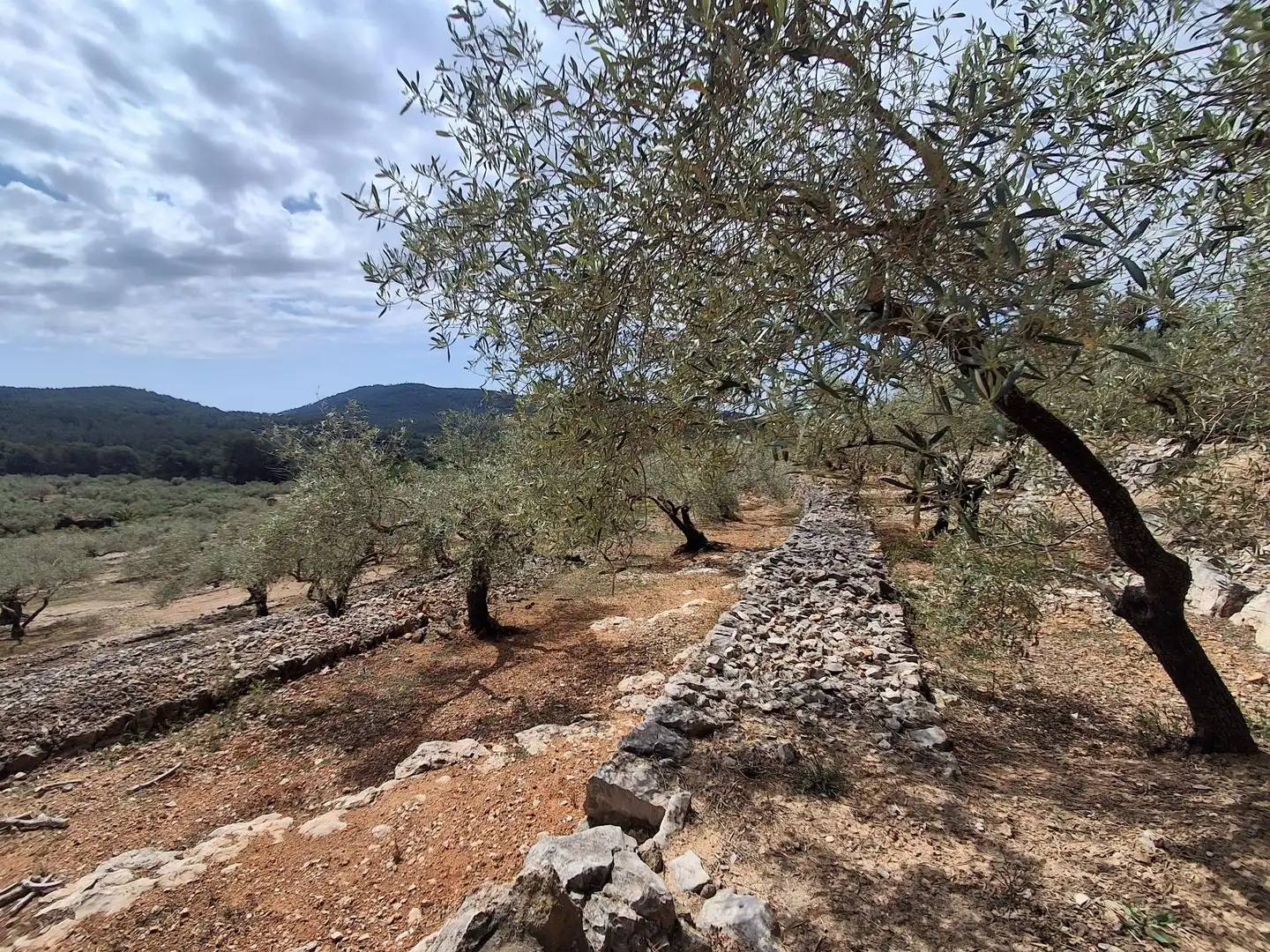 Terreno rustico in vendita a El Perelló, imagen 71