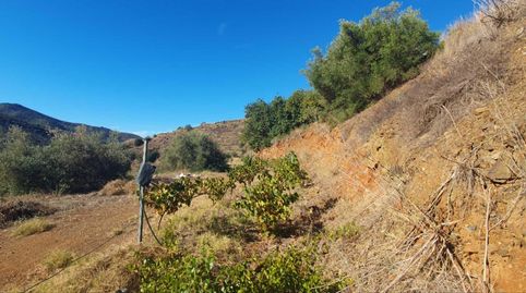 Foto 2 von Country house zum Verkauf in Totalán, Málaga