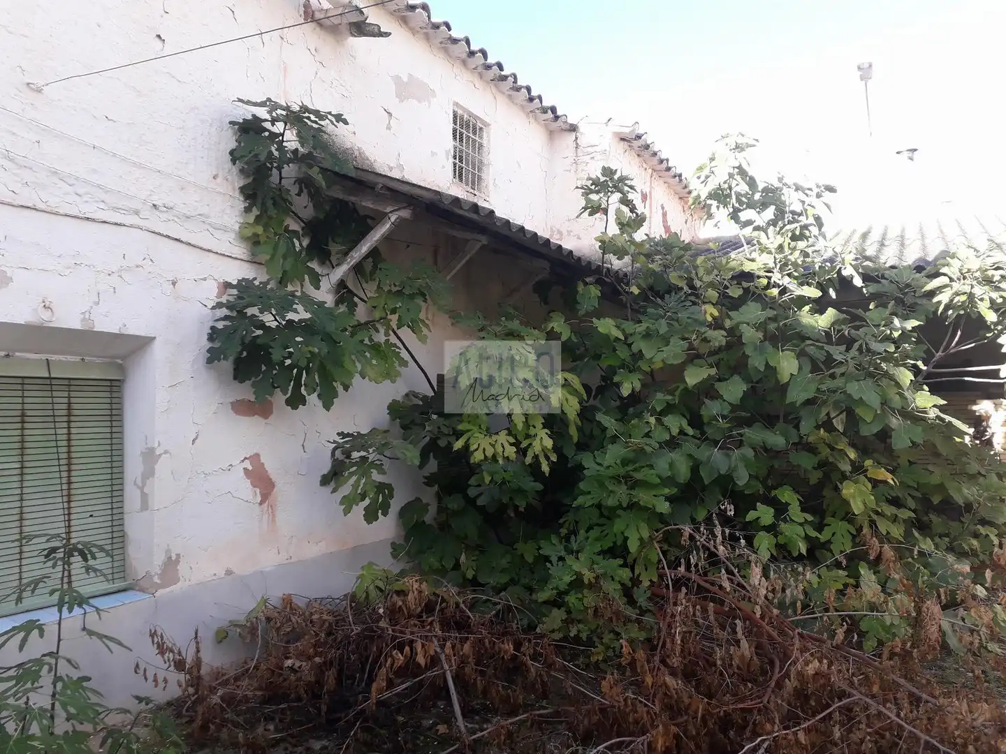 Casa o xalet en venda en Alcubillas