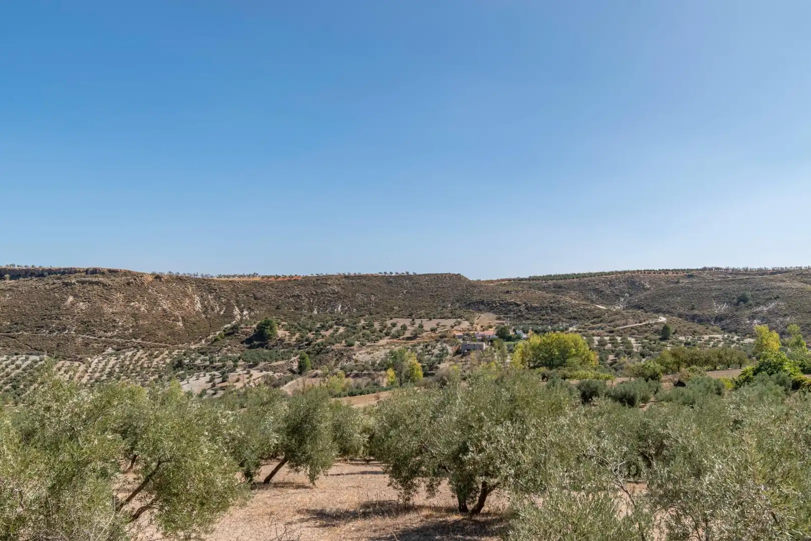 Finca rústica en venta en Vereda morollon, La Peza