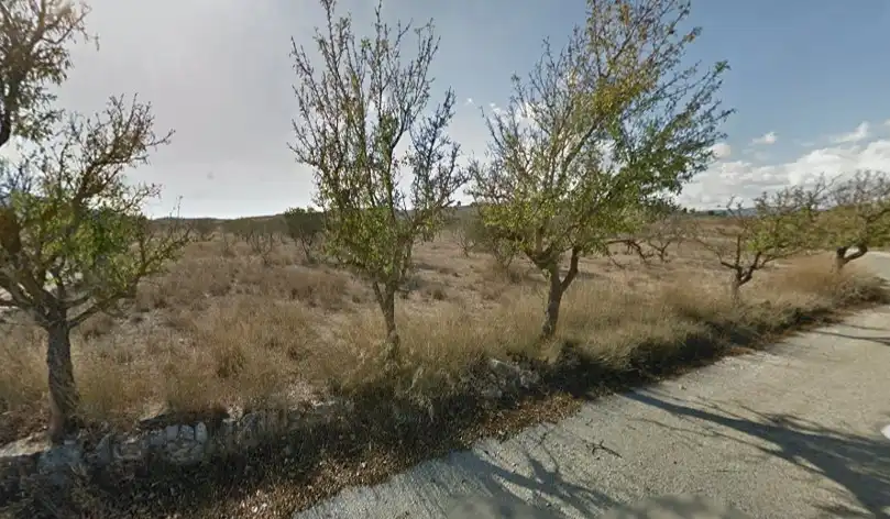 Rustikales Grundstück zum Verkauf in Finca Culebrón, imagen 6