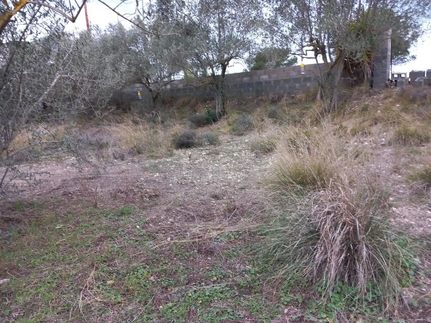 Residential land for sale in Torrelles de Foix, imagen 9
