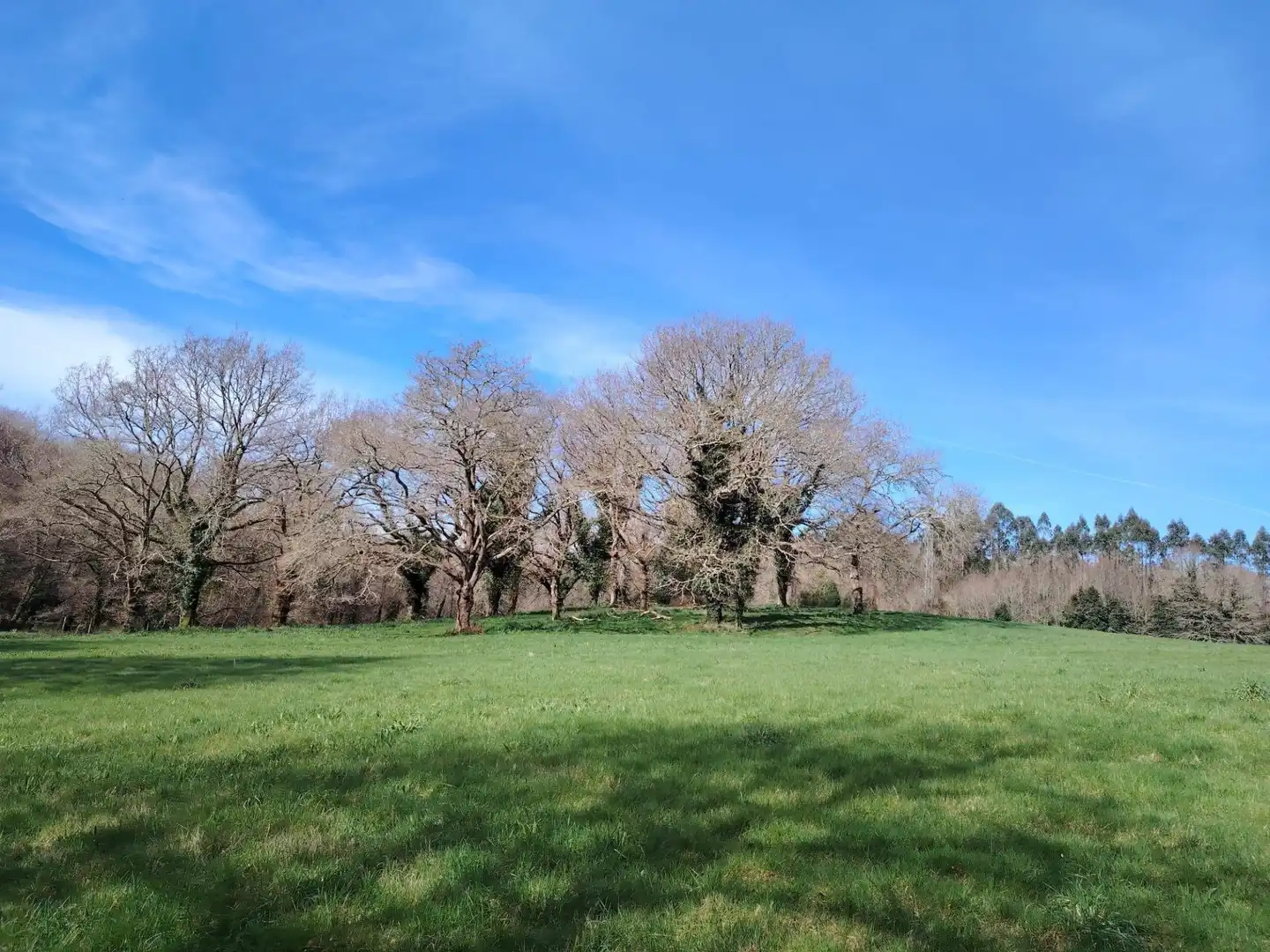 Country homes for sale in Negreira