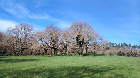 Foto 5 de Finca rústica en venda a Negreira, A Coruña