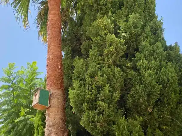 Exterior view of Flat for sale in Pueblo Español - Coveta Fumá