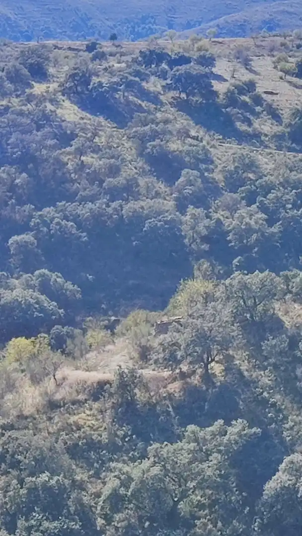 Land for sale in Alcudia de Monteagud