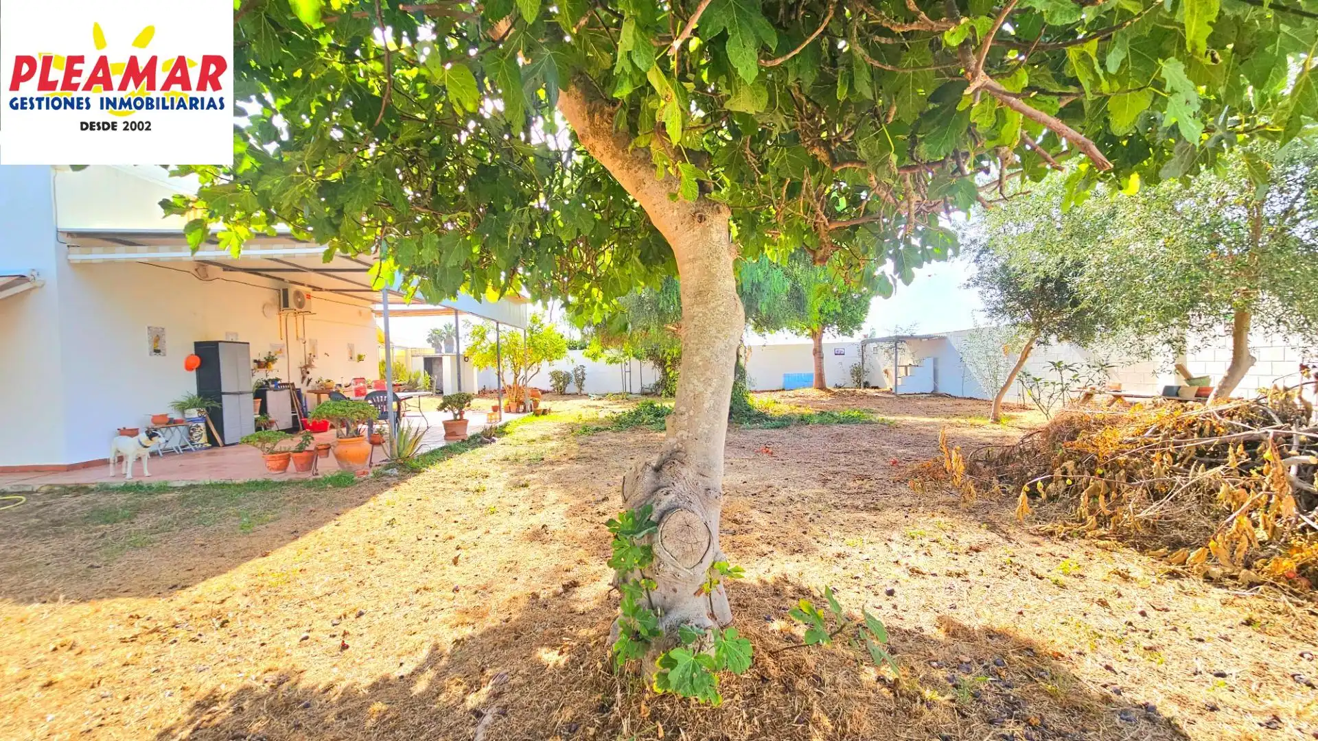 Casa rustica in vendita a Las Tres Piedras - Costa Ballena, imagen 5