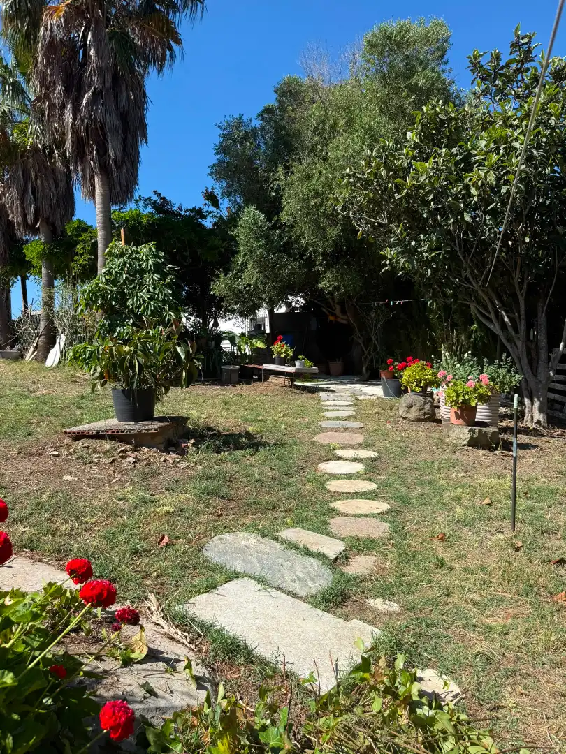 Jardí de Casa o xalet de lloguer en Tarifa amb Jardí privat, Terrassa i Traster