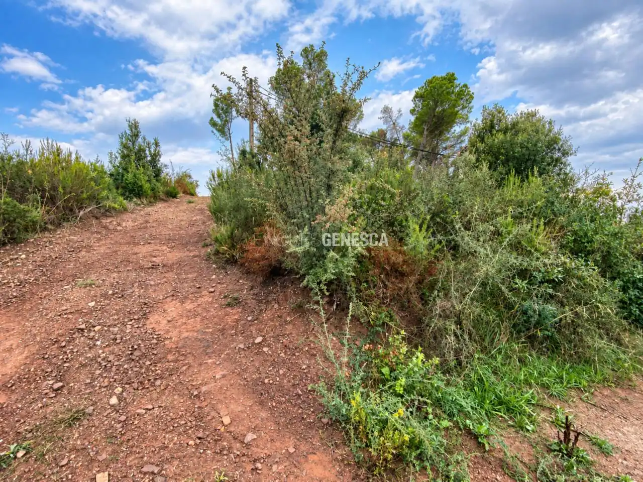 Terrain résidentiel à vendre à Calle Poeta Maragall, imagen 7