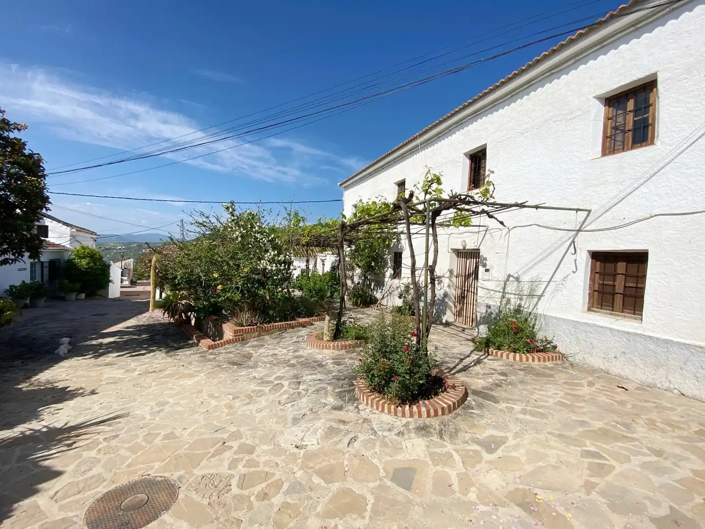 Vista exterior de Casa adosada en venta en Periana