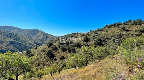 Foto 5 de Casa o xalet de lloguer a Lagar del Quemado, Residencial Jardín Botánico, Málaga