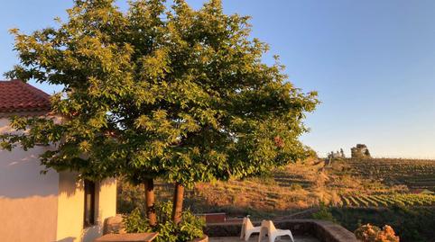 Photo 5 of Country house for sale in N/a, -1, Puntagorda, Santa Cruz de Tenerife