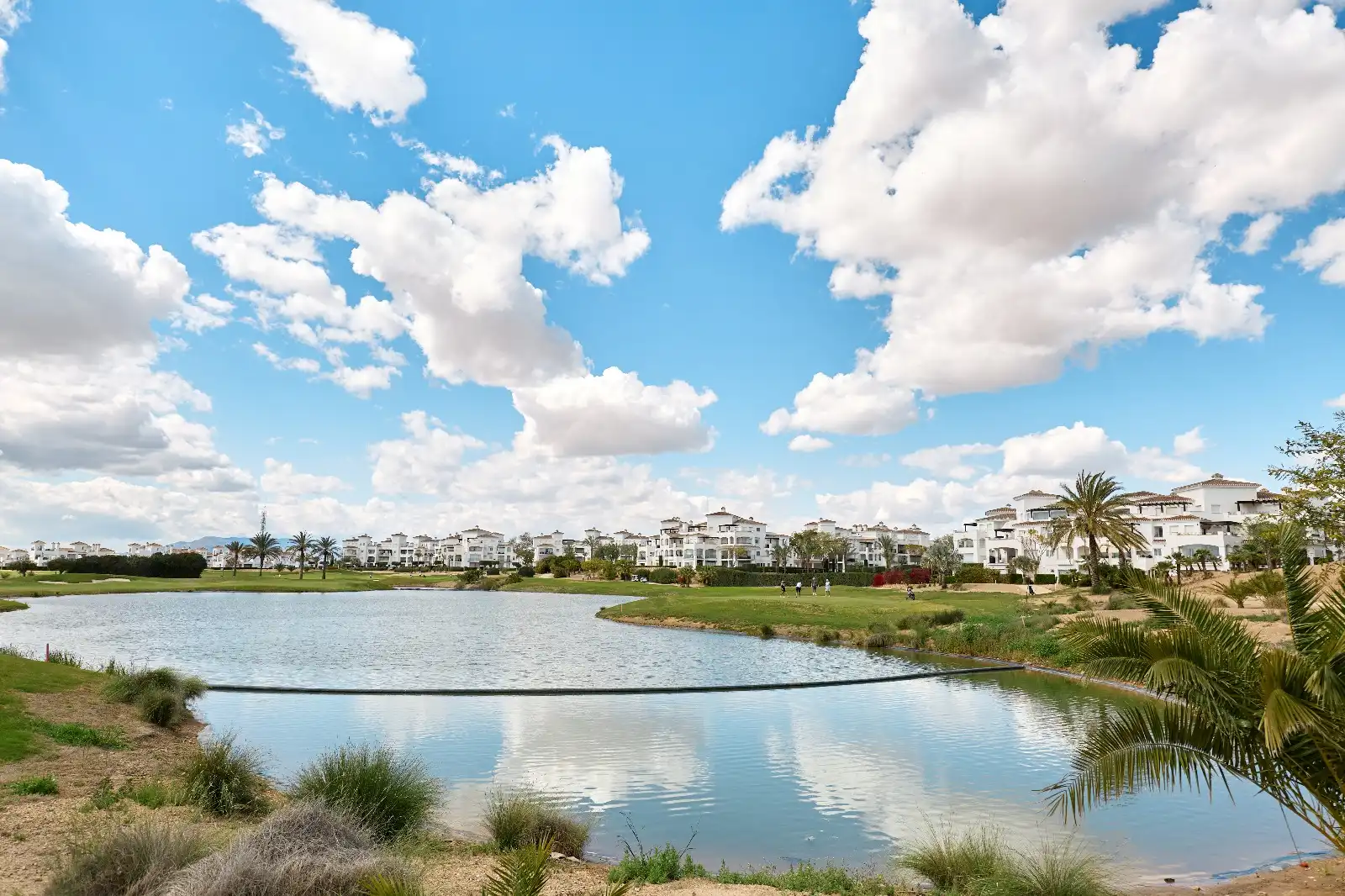 Vista exterior de Casa o chalet en venta en Torre-Pacheco con Aire acondicionado, Calefacción y Jardín privado