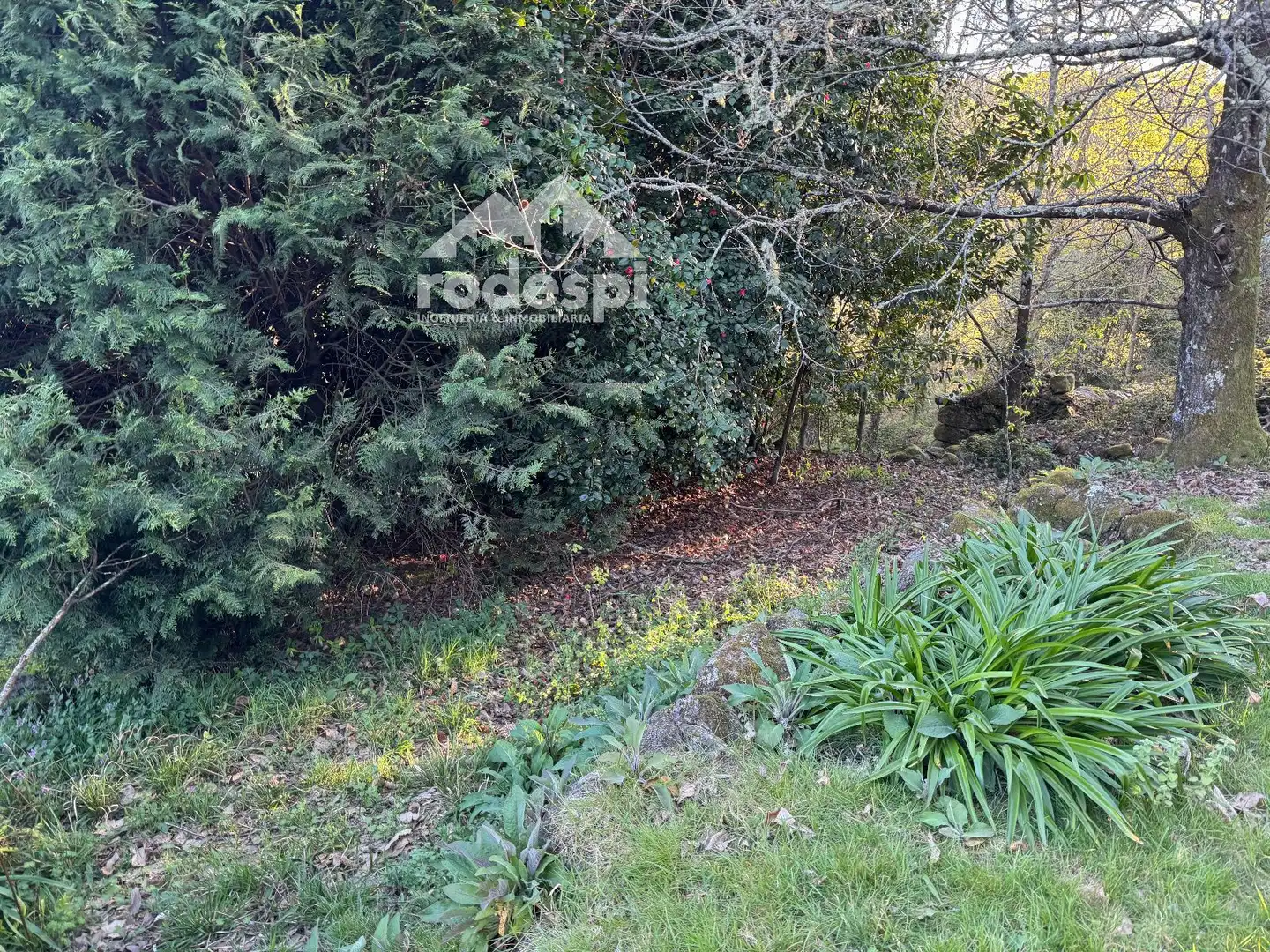 Maison à vendre à A Cañiza, imagen 2