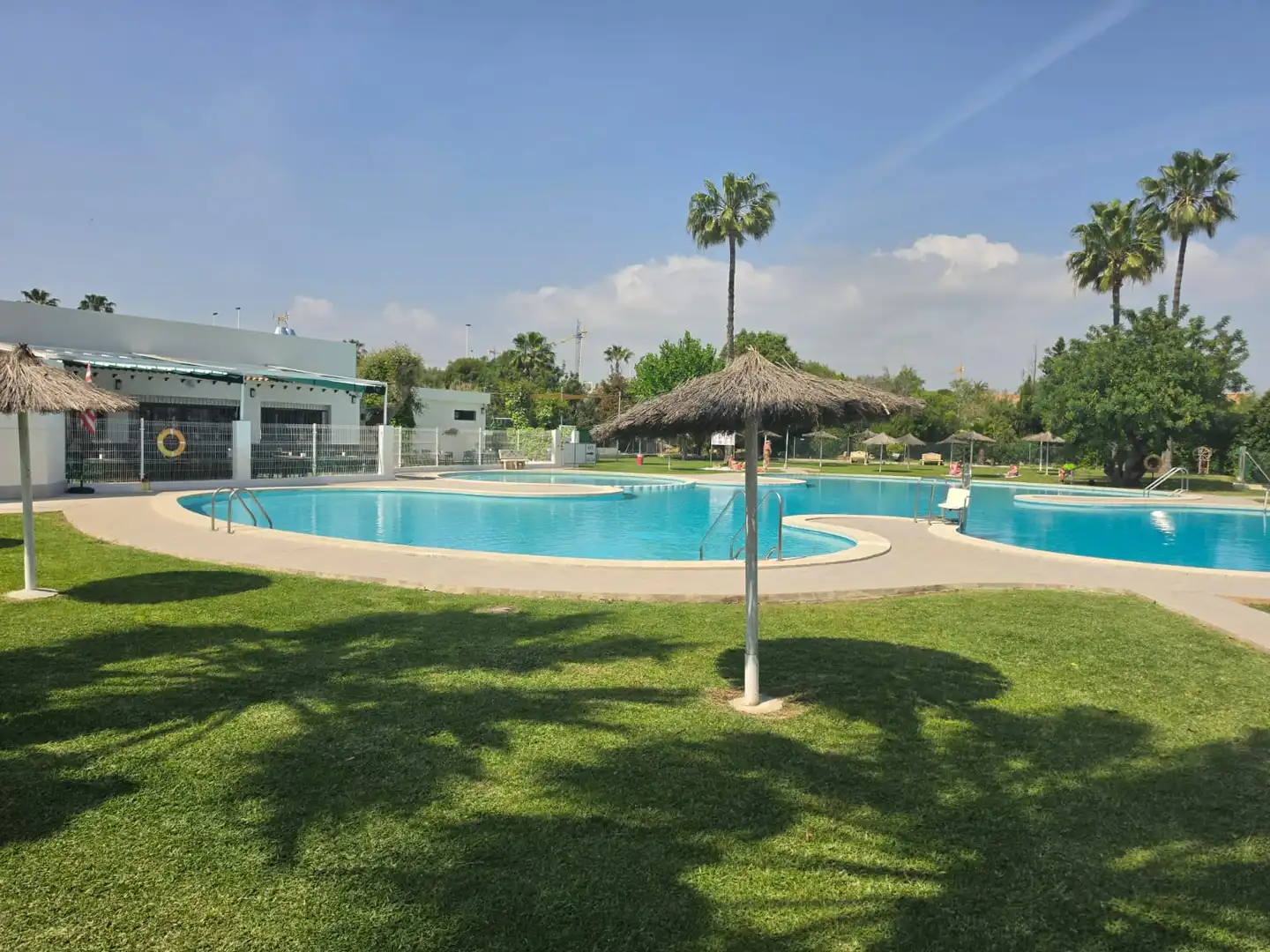 Piscina de Pis en venda en Torrevieja amb Moblat