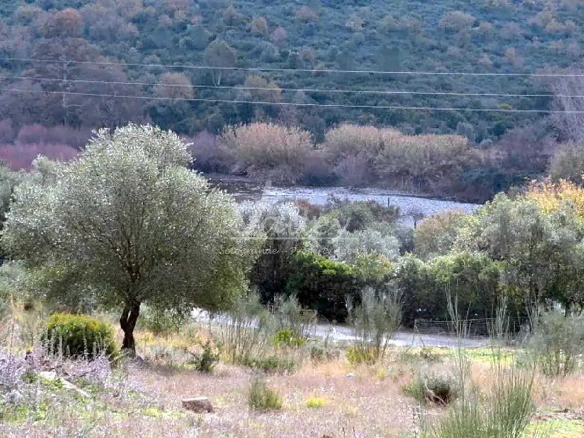 Terreni e lotti in vendita a None, imagen 18