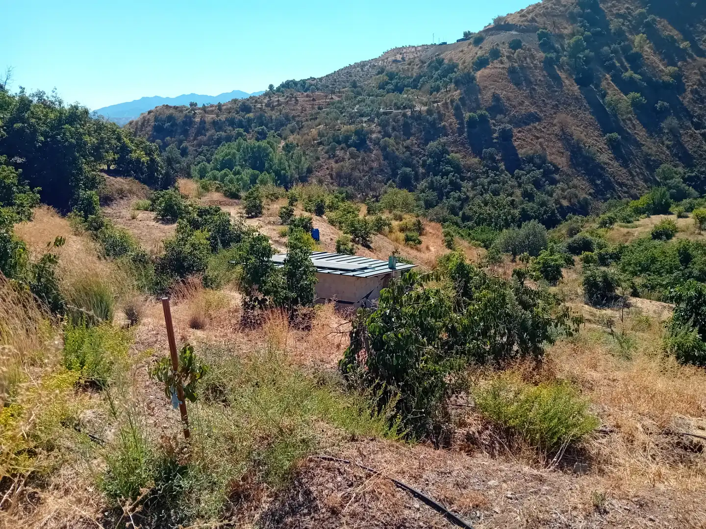 Terreno rústico en venta en Yunquera, imagen 6
